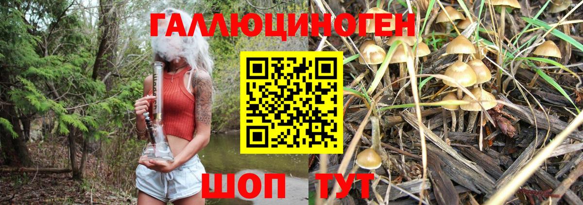 Галлюциногенные грибы Magic Shrooms Касимов
