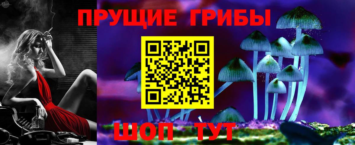 Псилоцибиновые грибы GOLDEN TEACHER  Вход с VPN  Касимов 